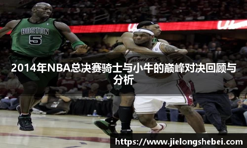 2014年NBA总决赛骑士与小牛的巅峰对决回顾与分析